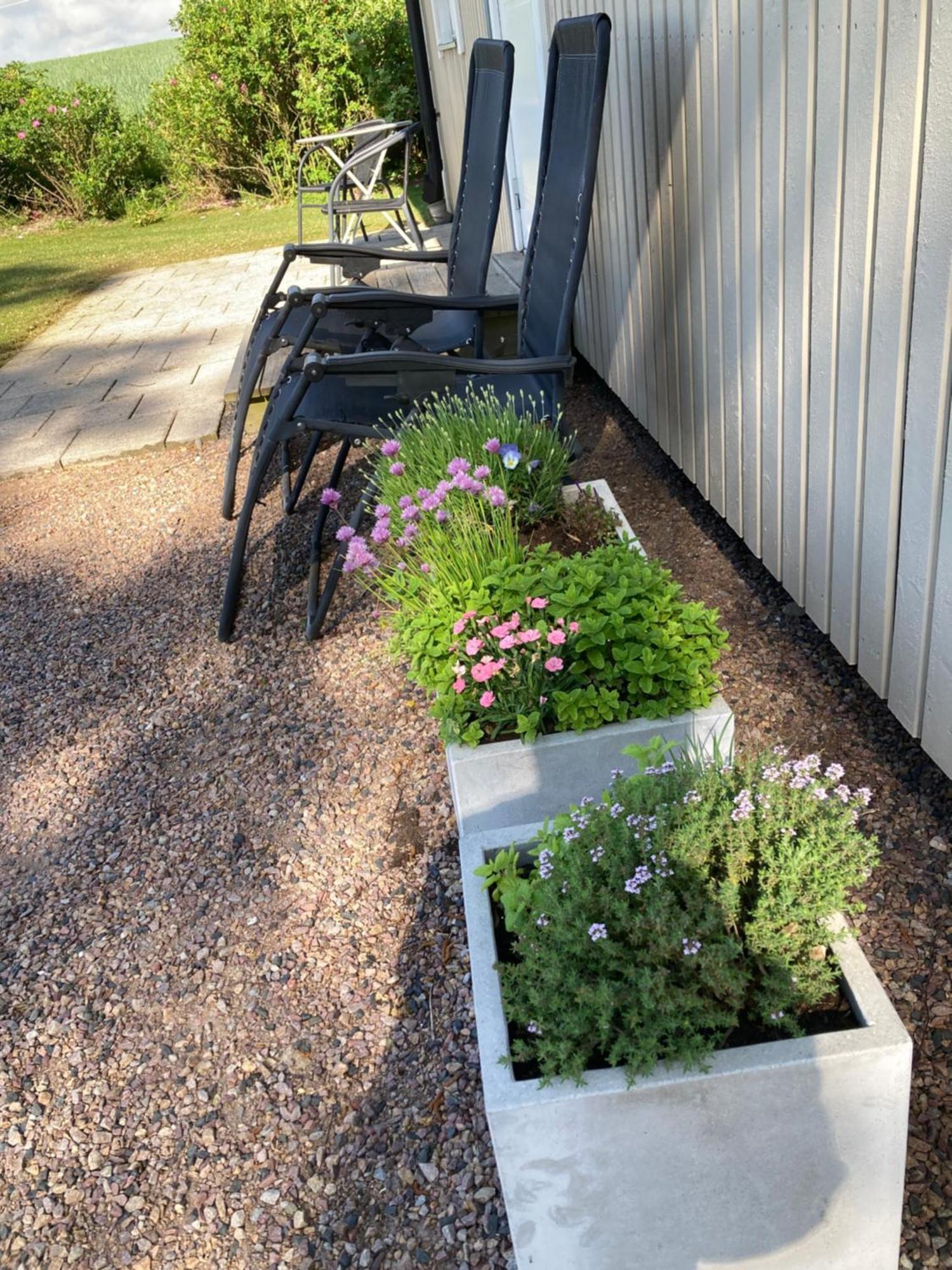 Slimmingegarden 1019 Villa Skurup Kültér fotó